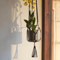Phanta Plant Hanger By Hay 9 Phanta Plant Hanger By Hay -Finest Furniture Shop haus london hay phanta5