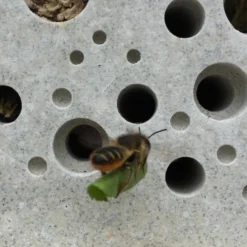 Bee Brick By Green And Blue 5 Bee Brick By Green And Blue -Finest Furniture Shop leaf cutter bee with bee brick bee hotel